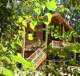 Rivers Edge Rainforest Retreat - Accommodation Directory
