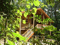 Rivers Edge Rainforest Retreat - Accommodation Directory 0