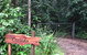 Rivers Edge Rainforest Retreat - thumb 4