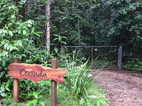 Rivers Edge Rainforest Retreat - Accommodation Directory 4