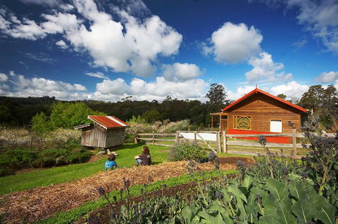 Elvenhome Farm Cottage - Accommodation Directory 6