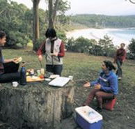 Fortescue Bay Camping Ground - Accommodation Directory