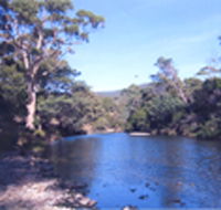 Douglas River Cabin - Accommodation Directory