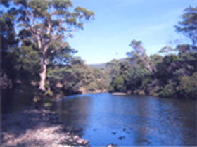 Douglas River Cabin - Accommodation Directory 0
