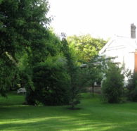 Oakdene Heritage Accommodation - Accommodation Directory