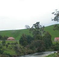 Tin Dragon Trail Cottages - Accommodation Directory