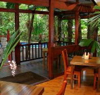 Daintree Wilderness Lodge - Accommodation Directory
