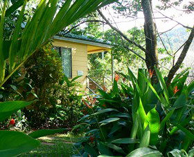 Daintree Valley Haven - Accommodation Directory 0