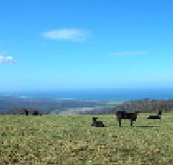 St Marys Seaview Farm - Accommodation Directory