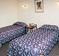 Mt Lyell Motor Inn - Accommodation Directory