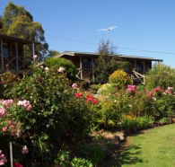 Mole Creek Holiday Village - Accommodation Directory