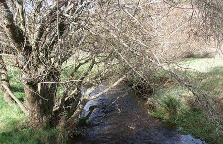 Penguin Valley Farm - Accommodation Directory 1