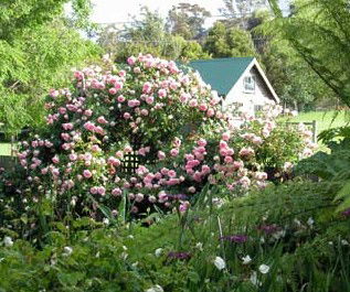 Conmel Cottage - Accommodation Directory 2
