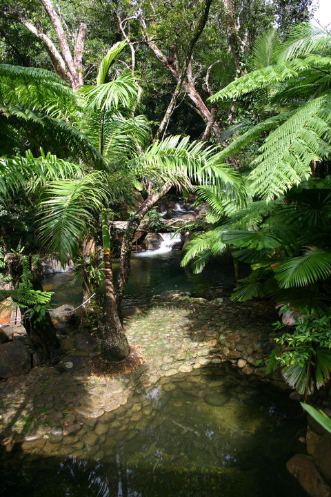 Daintree Secrets (Award Winning Retreat) - Accommodation Directory 4