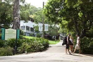 Halse Lodge Backpackers Hostel YHA - Accommodation Directory 0