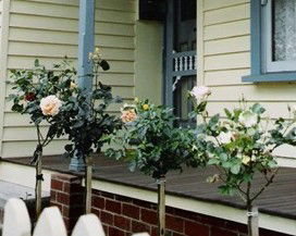 Rose Cottage Bed & Breakfast - Accommodation Directory 3