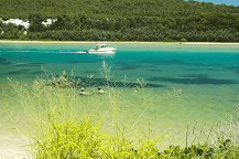 Wooli Camping and Caravan Park - Accommodation Directory