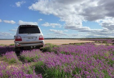 Pincally Station - Accommodation Directory 1