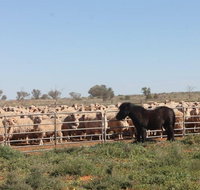 Pimpara Lake StationStay - Accommodation Directory