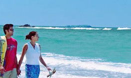 Aqualuna Beach Resort - Accommodation Directory 3