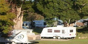 Bellinger River Tourist Park - Accommodation Directory 3