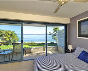Dolphins - Accommodation Directory 0