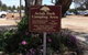 Ariah Park Camping Ground - thumb 0