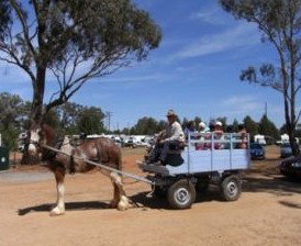 Ariah Park Camping Ground - Accommodation Directory 1