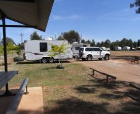 Ariah Park Camping Ground - Accommodation Directory 2