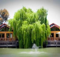 Perricoota Vines Retreat - Accommodation Directory