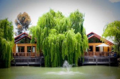 Perricoota Vines Retreat - Accommodation Directory 0