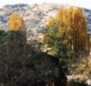 Birches Bed and Breakfast at Nundle - Accommodation Directory