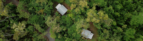 Rainforest Ranch - Accommodation Directory 5