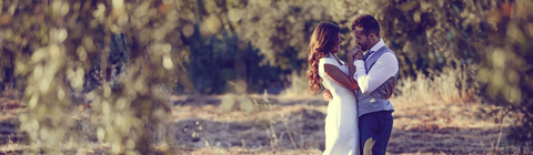 Rainforest Ranch - Accommodation Directory 7