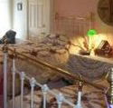 A Winter-Rose Cottage Bed and Breakfast - Accommodation Directory