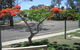 Kingfisher Caravan Park - thumb 4