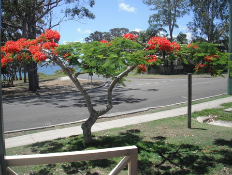 Kingfisher Caravan Park - Accommodation Directory 4