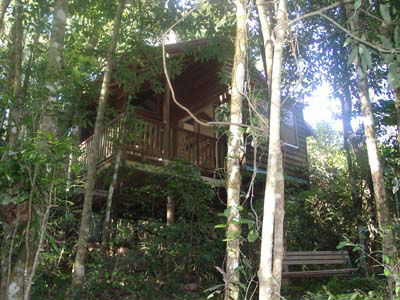 Adjinbilly Rainforest Retreat Cabins - Accommodation Directory 0