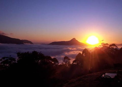 Spring Creek Mountain Cafe And Cottages - Accommodation Directory 0