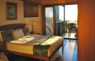 OReillys Rainforest Retreat - Accommodation Directory 2