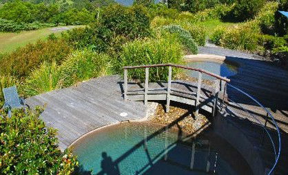 OReillys Rainforest Retreat - Accommodation Directory 4