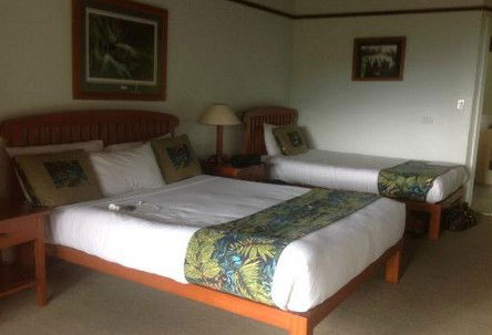 OReillys Rainforest Retreat - Accommodation Directory 5