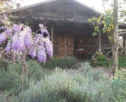 Barney Creek Vineyard Cottages - Accommodation Directory 3
