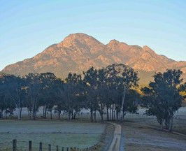 Barney Creek Vineyard Cottages - Accommodation Directory 5
