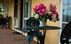 Nelgai Farm Bed And Breakfast - thumb 1