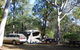Myall Park Botanic Garden - thumb 0