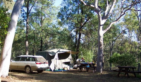 Myall Park Botanic Garden - Accommodation Directory 0