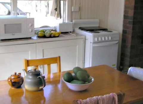 Myall Park Botanic Garden - Accommodation Directory 3