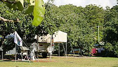 Lilyponds Holiday Park - Accommodation Directory 4
