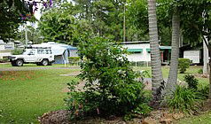 Lilyponds Holiday Park - Accommodation Directory 5
